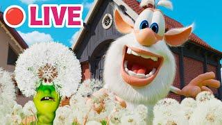 Booba - TOP Episodes Collection ⭐ LIVE  Kedoo Toons TV - Funny Animations for Kids