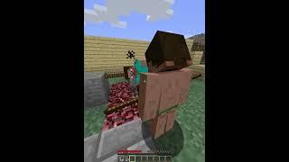 Minecraft chaos