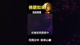 佛觀如來 如來智寶：花雨沙中 如來心藏 #開悟 #悟道