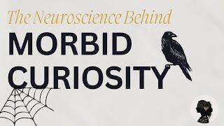 The Neuroscience Behind Morbid Curiosity │The Neuro Nerd