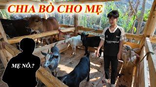 Bó tay! Em Nô phát khóc khi người mẹ đòi lấy bò bằng được khiến ai cũng ph.ẫn nộ thay.