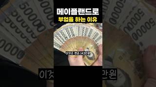 메이플랜드로 부업을 하는 이유