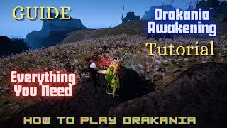 Drakania Guide: The Least You Need to Know to Play Drakania Awakening - Black Desert Online