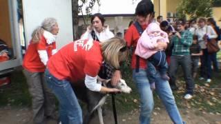 Video realizzato da amici del GACI  Arrivo Galgos del 25-09-2010