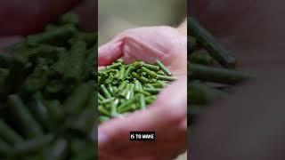 All-Natural Feed #lefeeds