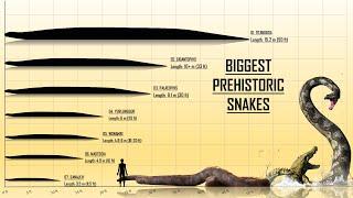 The 7 Largest & Longest Prehistoric Snakes Ever