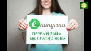 Обзор Екапуста микрозаймы  Плюсы и минусы займа   Первый займ бесплатно!