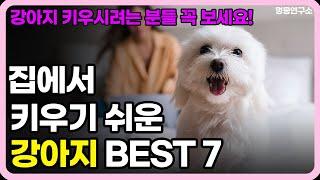 집에서 키우기 쉬운 강아지 BEST 7