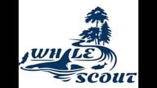 Whale Scout Interview with Whitney Neugebauer