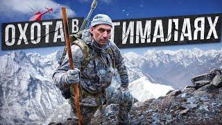 Трофейная охота в Непале. Голубой баран и Гималайский тар. [8K] #трофейнаяохота