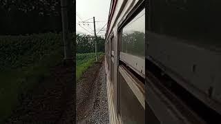 Вид из окна эоектрички