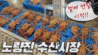 연말 시작?! 아~~~~~~~~~11월13일 새벽 노량진수산시장 리뷰