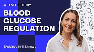 Blood Glucose Regulation Explained in 11 Minutes