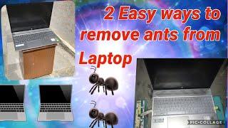 2 easy ways to remove ants from your laptop||Easily ||