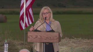 The Trump factor: Liz Cheney loses Wyoming re-election bid