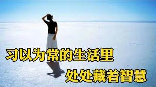 赏读：习以为常的生活里，处处藏着智慧！