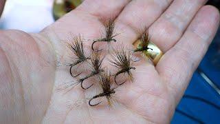 Tying a Rough Olive Dry Fly by Davie McPhail