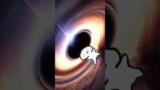 내 정신상태