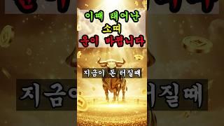 하늘에서 복이 쏟아집니다. 지금 받으세요 #운명서재 #운명이야기#소띠운세#생일운세# #운세