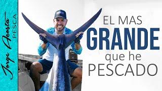 MARLIN AZUL - Más de 300 libras!! - Pesca en ALTA MAR