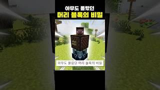 마크 고수도 모르는 머리 블록의 비밀