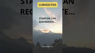 Curiosites