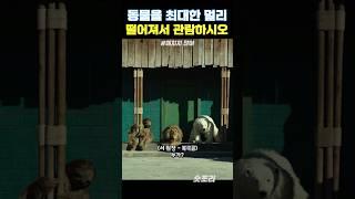 그걸 왜 우리한테 말해 동물둥절 #해치지않아