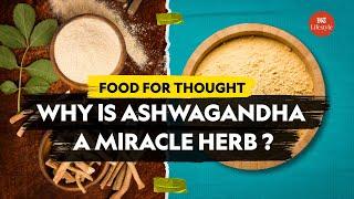 Why Is Ashwagandha A Miracle Herb? | Food For Thought | HT Lifestyle