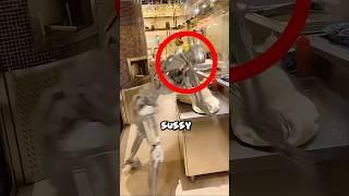Robot Gone Wild For A Pizza