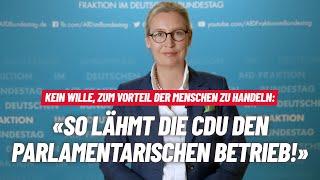 So lähmt die CDU den parlamentarischen Betrieb! - Alice Weidel - AfD