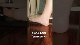 Tchaikovsky Swan LakeSwan Theme--Piano Cover Pedal View