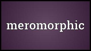 Meromorphic Meaning