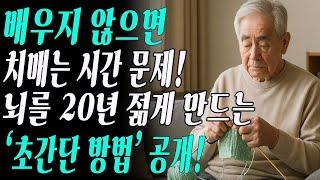 “배우기를 멈추면 뇌가 늙기 시작합니다!” 88세 의사의 마지막 조언, 뇌를 젊게 만드는 습관은 이것!
