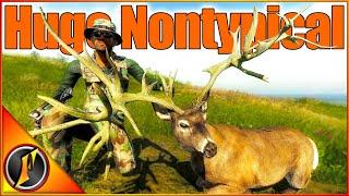 HUGE Nontypical! ... But the Wrong Species  | theHunter Classic