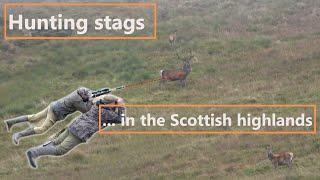 Red Stag hunting in scotland| Highland Fever | best hunting videos | Woodwalker ep#58