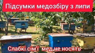 Які підсумки медозбору з липи 2024?