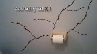 NATOX Healing Cracks. VFX Test