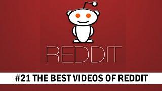 THE BEST VIDEOS OF REDDIT. Asking for feedback ends in tragical death