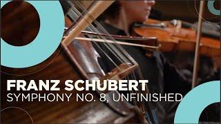 The first Romantic symphony?| Franz Schubert | Symphony No. 8, Unfinished