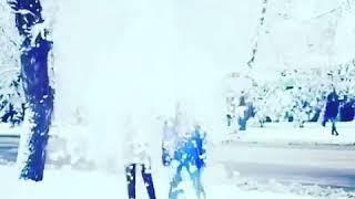 Снег