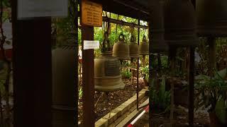 Temple Bells 