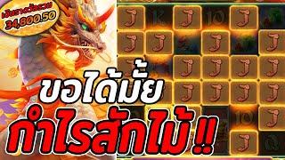 Ways of the Qilin | สล็อตpg | สล็อตกิเลน | ขอได้มั้ย กำไรสักไม้