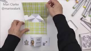 Pivot Pop Up Card