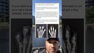 The x-ray on the left is of a declawed cat’s paw. The one the right is of a cat with intact claws.