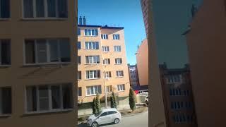 #видеблог #природа творит чудеса #смешное #видео