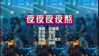 张鑫雨 《夜夜夜夜熬》DJ 阿本版 KTV 导唱字幕 （备有伴奏视频）