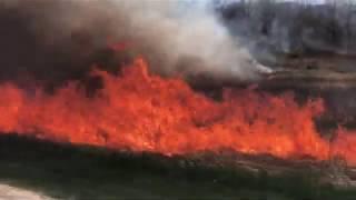 McCloud Nature Park Prairie Burn Highlights