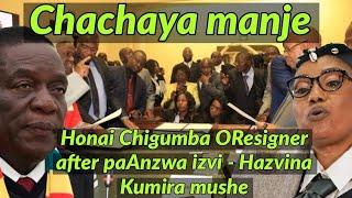 Chachaya manje - Honai Chigumba OResigner after paAnzwa izvi - Hazvina Kumira mushe 