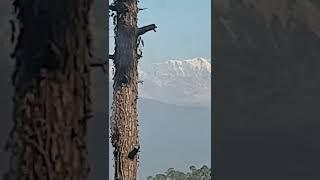 Ranikhet se Himalay ki choti ka nazara