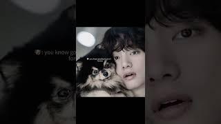 “Yeontan will I ever see you again”...ahhh#bts#jin#suga#jhope#rm#jimin#v#jk